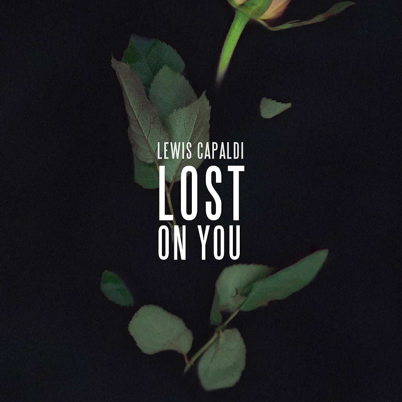 Lewis Capaldi - Lost On You