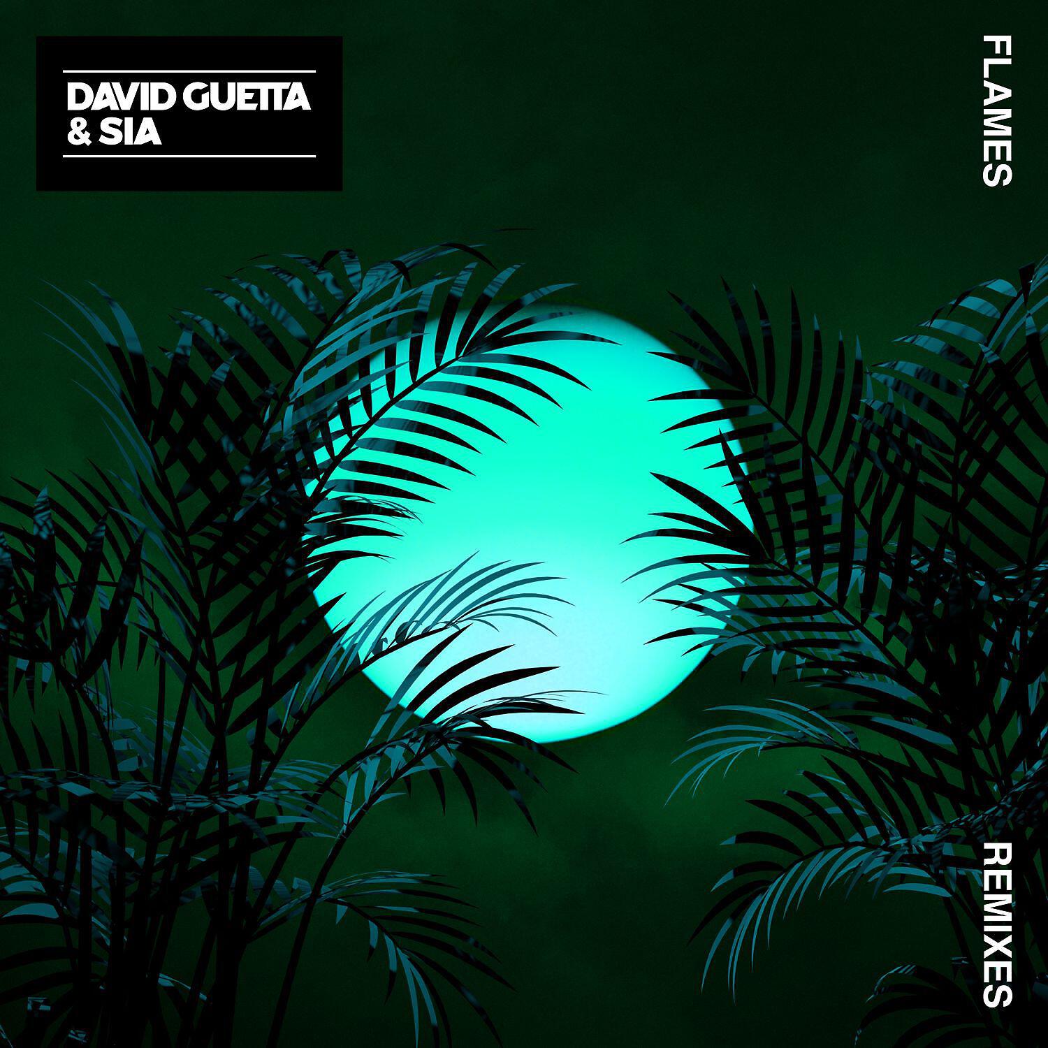 David Guetta - Flames (Aazar Remix)