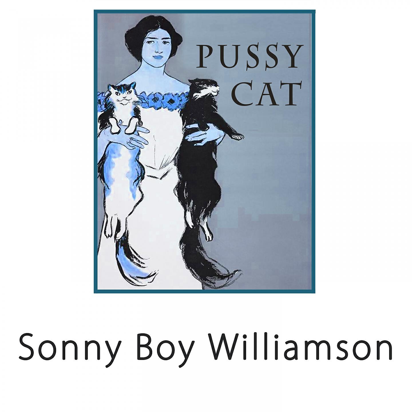 Sonny Boy Williamson - Let Me Explain