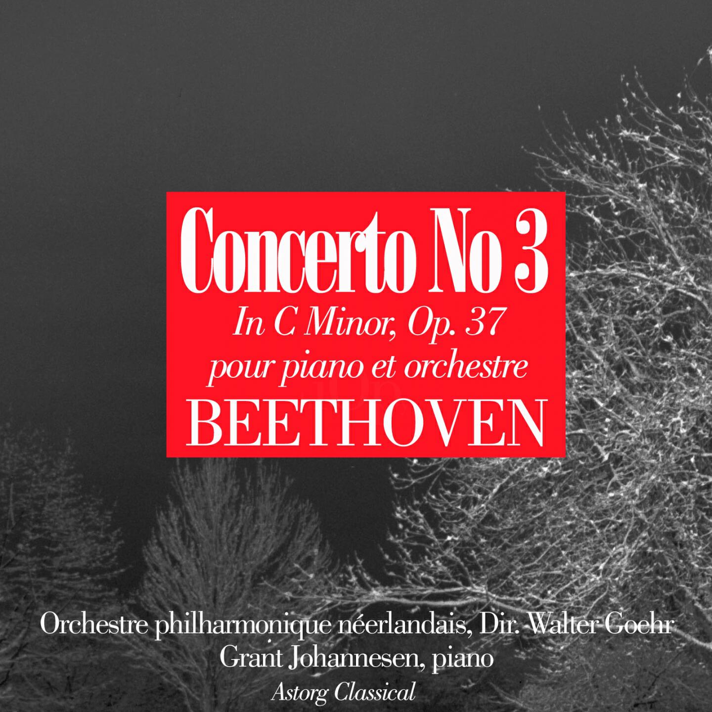 Orchestre philharmonique néerlandais - Piano Concerto No. 3 In C Minor, Op. 37: Iii. Rondo