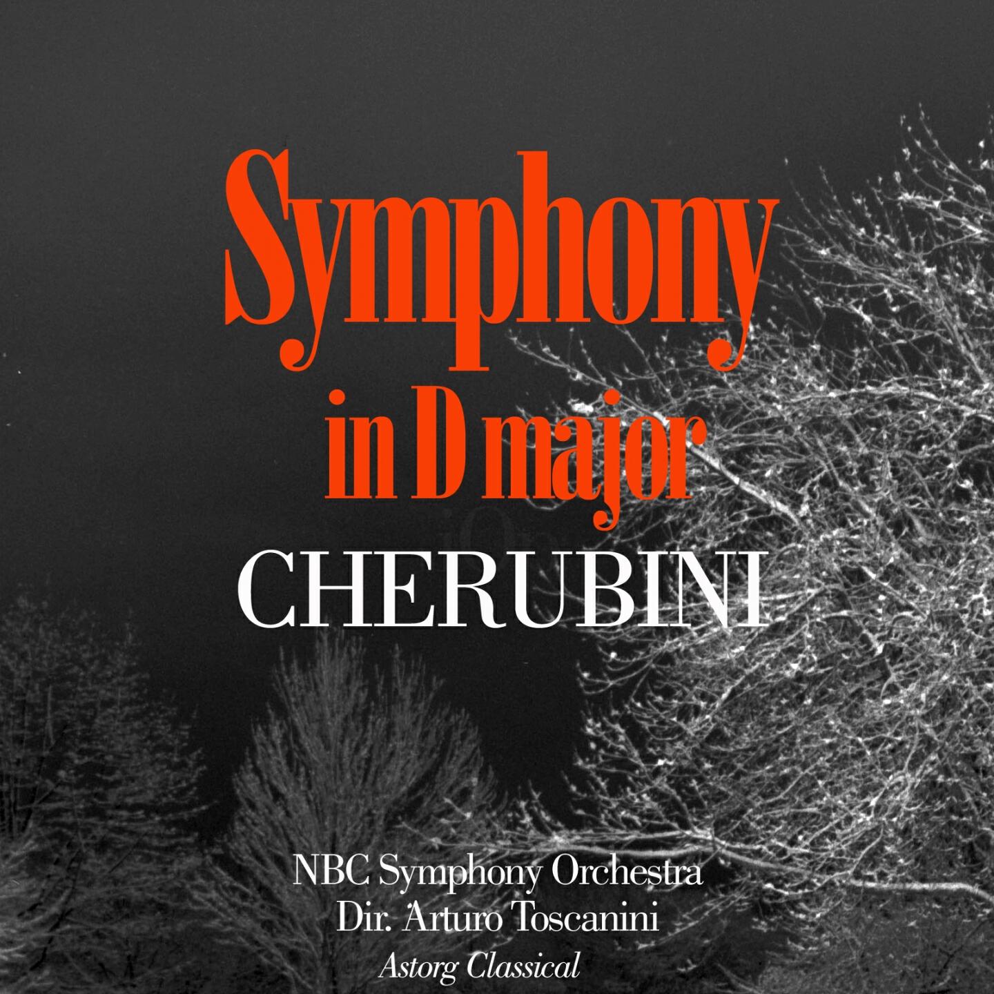 NBC Symphony Orchestra - Symphony In D Major : IV. Allegro assai