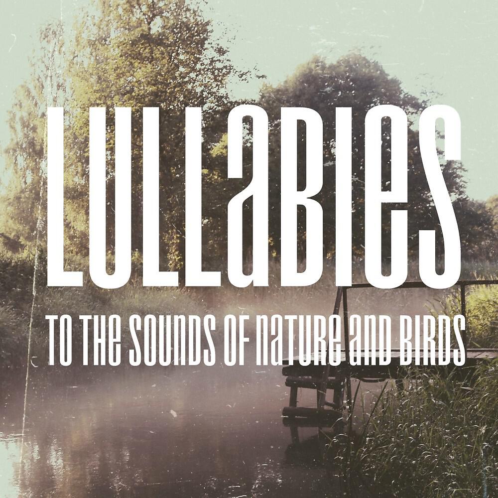 Baby Lullaby Relax World - Good Night to the Sounds of Nature and Birds (Original Mix)
