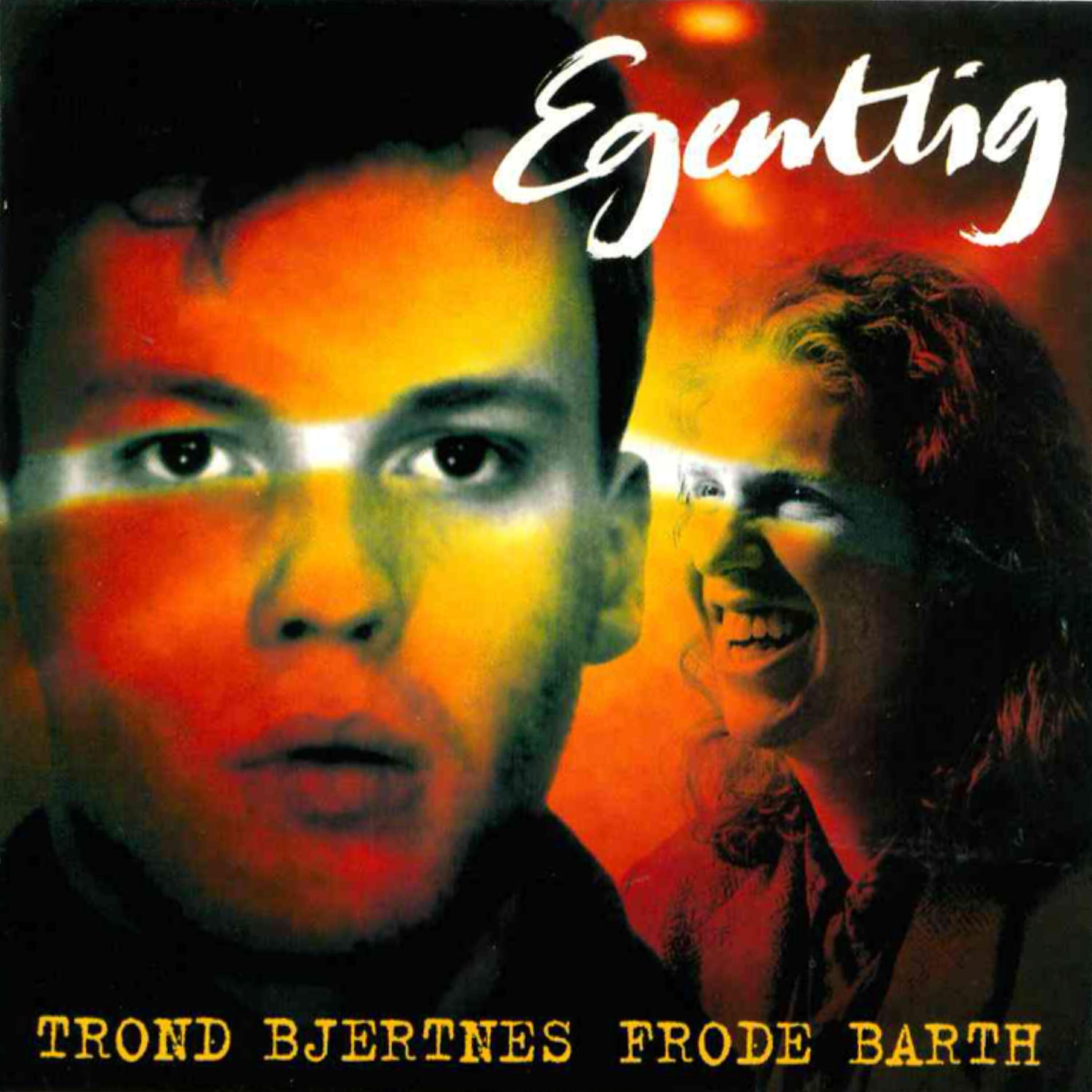 Trond Bjertnes - Dikt om dikt