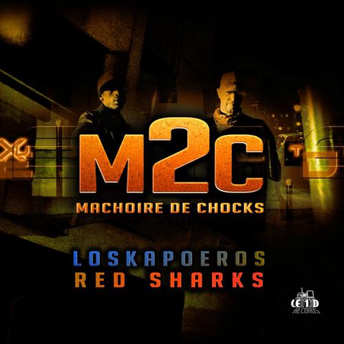 Loskapoeros - Bienvenue dans le monde des requins