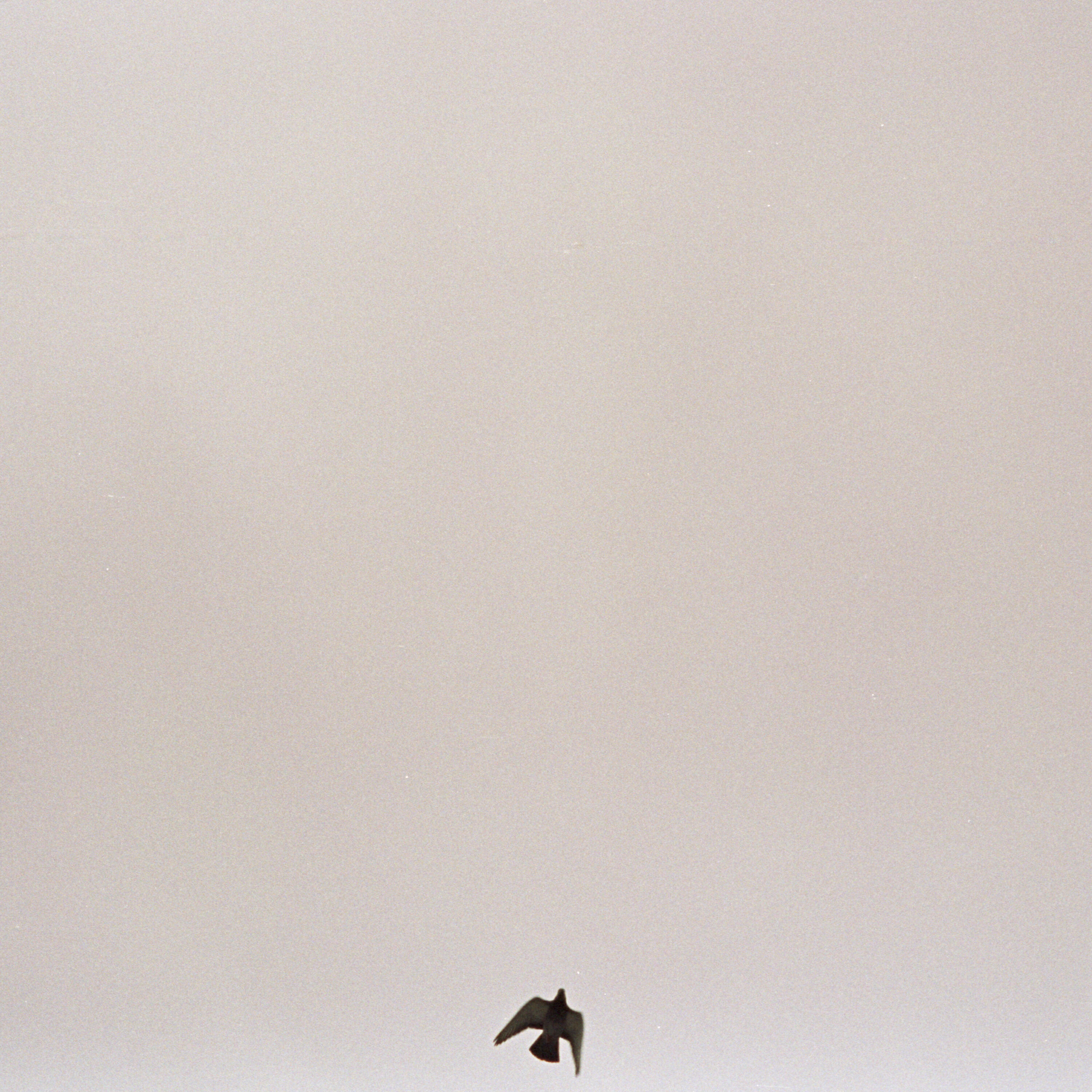 Maverick Sabre - Don't You Know by Now
