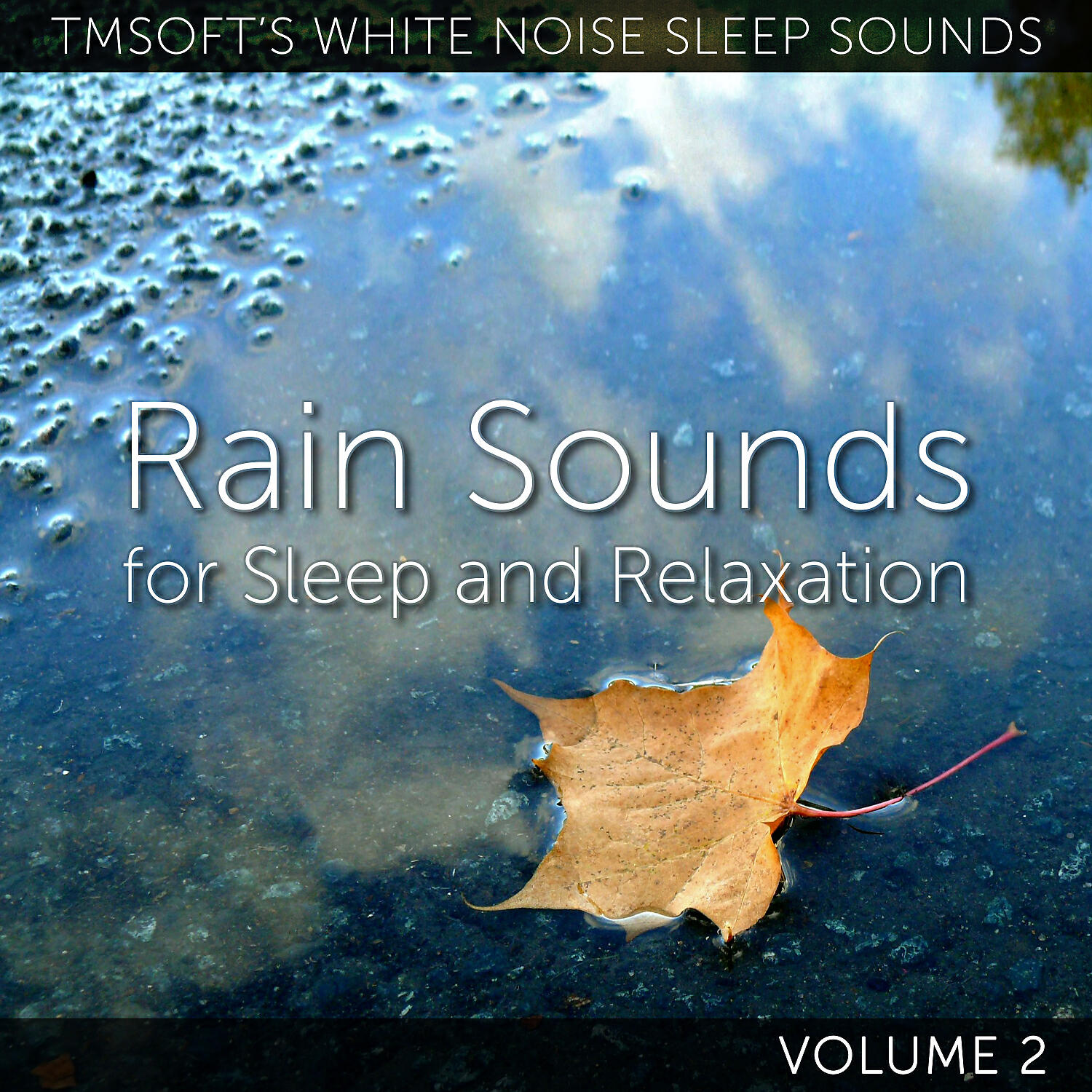 Tmsoft's White Noise Sleep Sounds - Crackling Windy Snowfall
