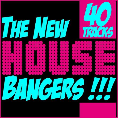 B. Vivant - House Muzik (A.C.N. Remix)