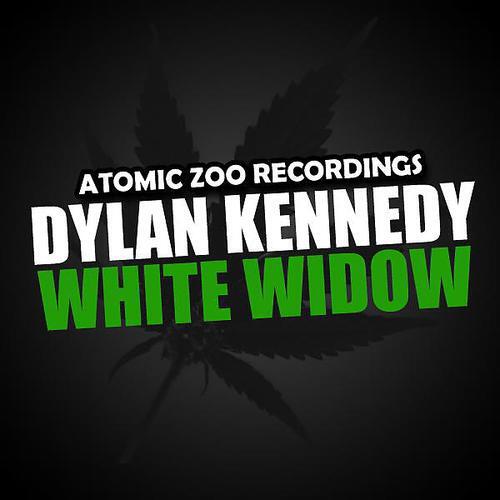 Dylan Kennedy - White Widow (2 Ninjas Remix)