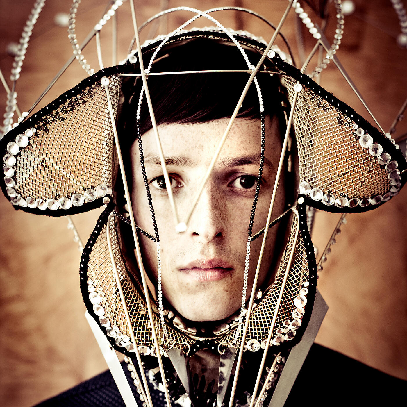 Totally Enormous Extinct Dinosaurs - Promises