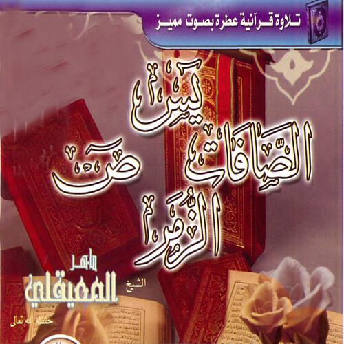 Cheikh Maher Al Maaiqli - Fossilat