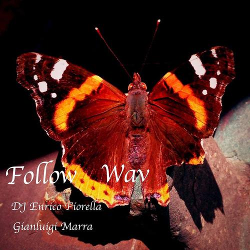 DJ Enrico Fiorella - Follow Wav