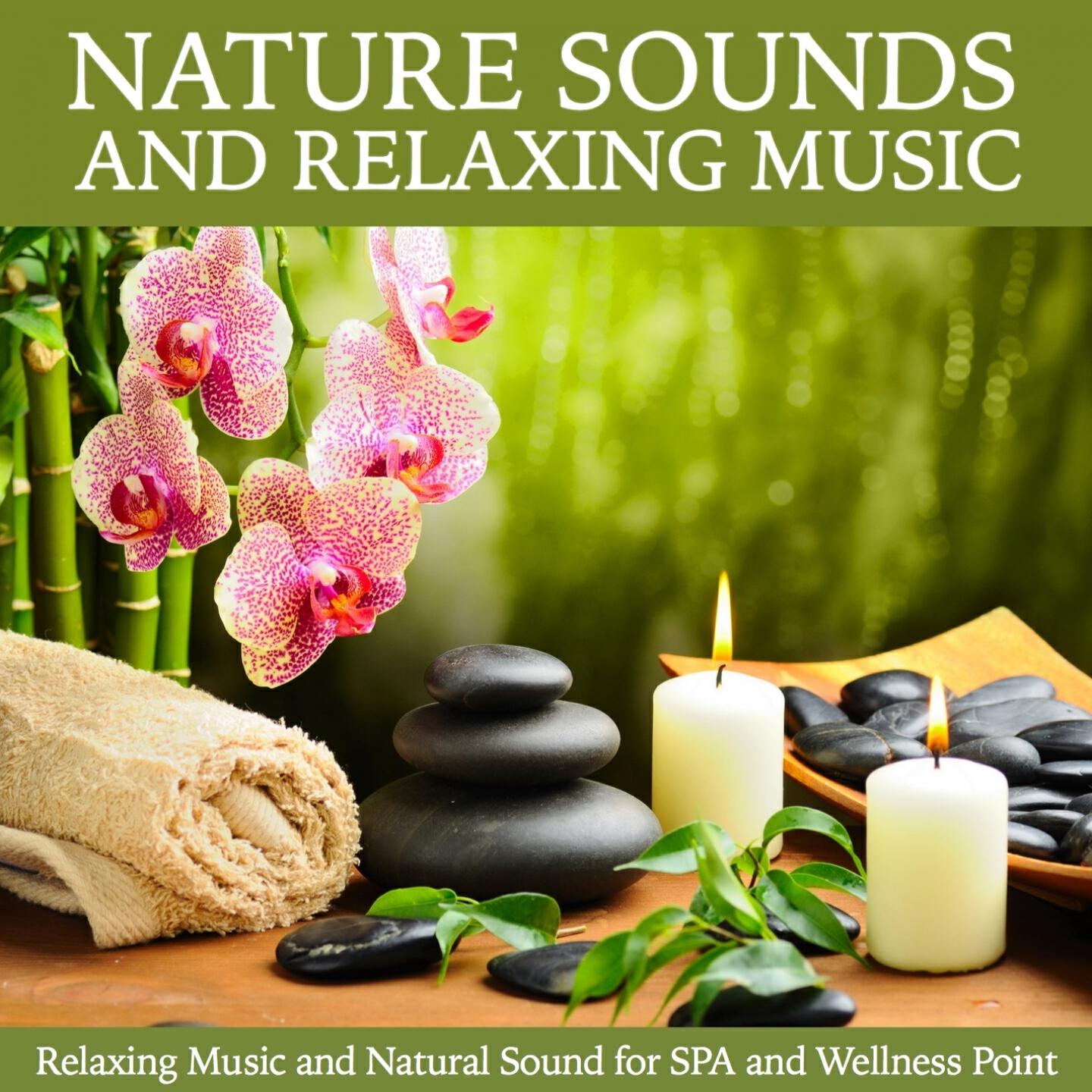 Angel Anne - Sun and Sea (Natural Ambient Recording)