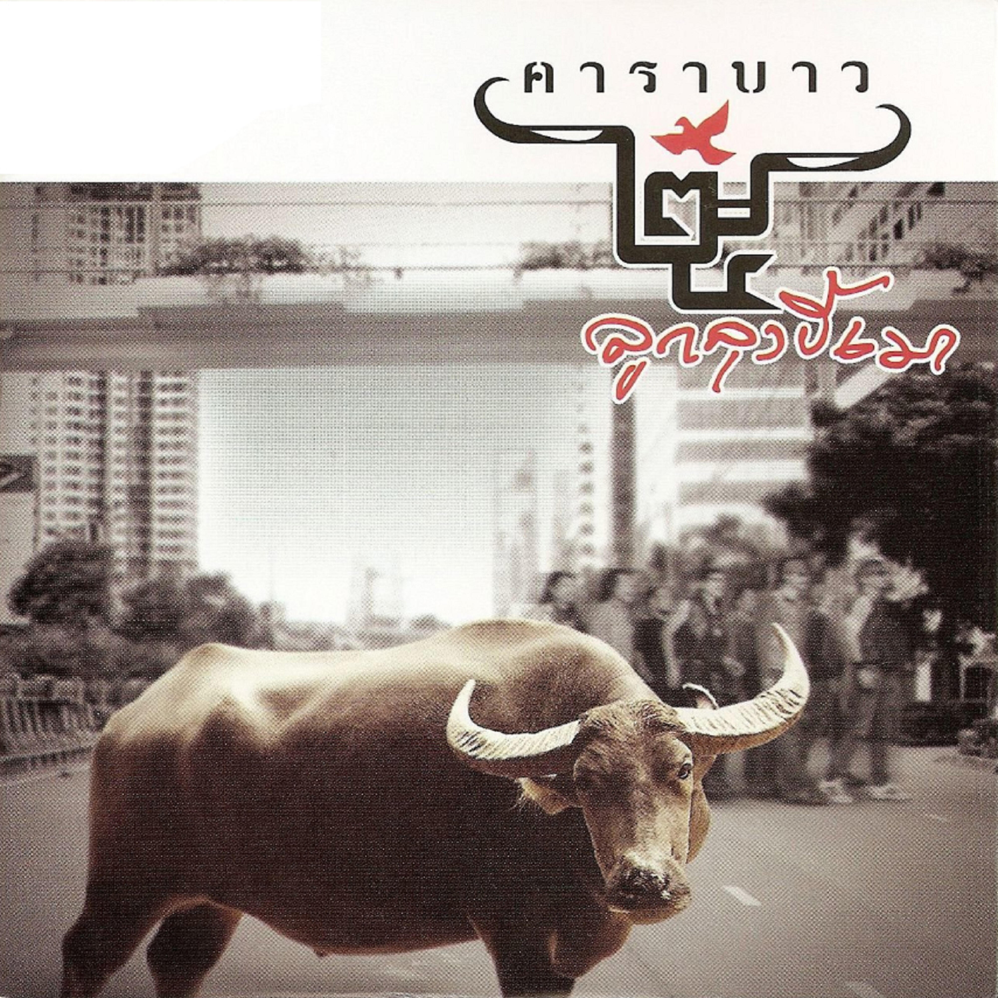 Carabao - Jatukam Lam Tung