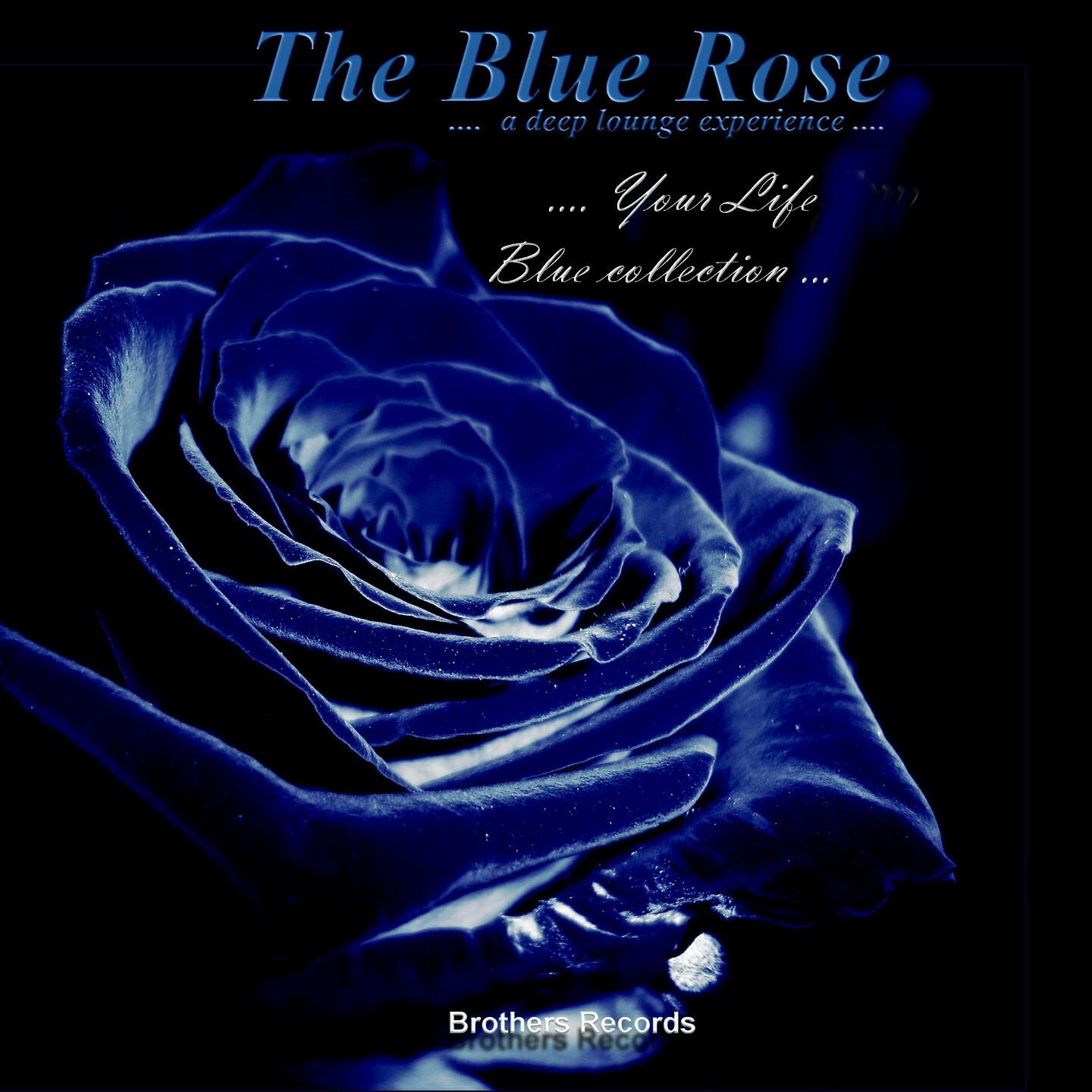 The Blue Rose - Someday in the Rain