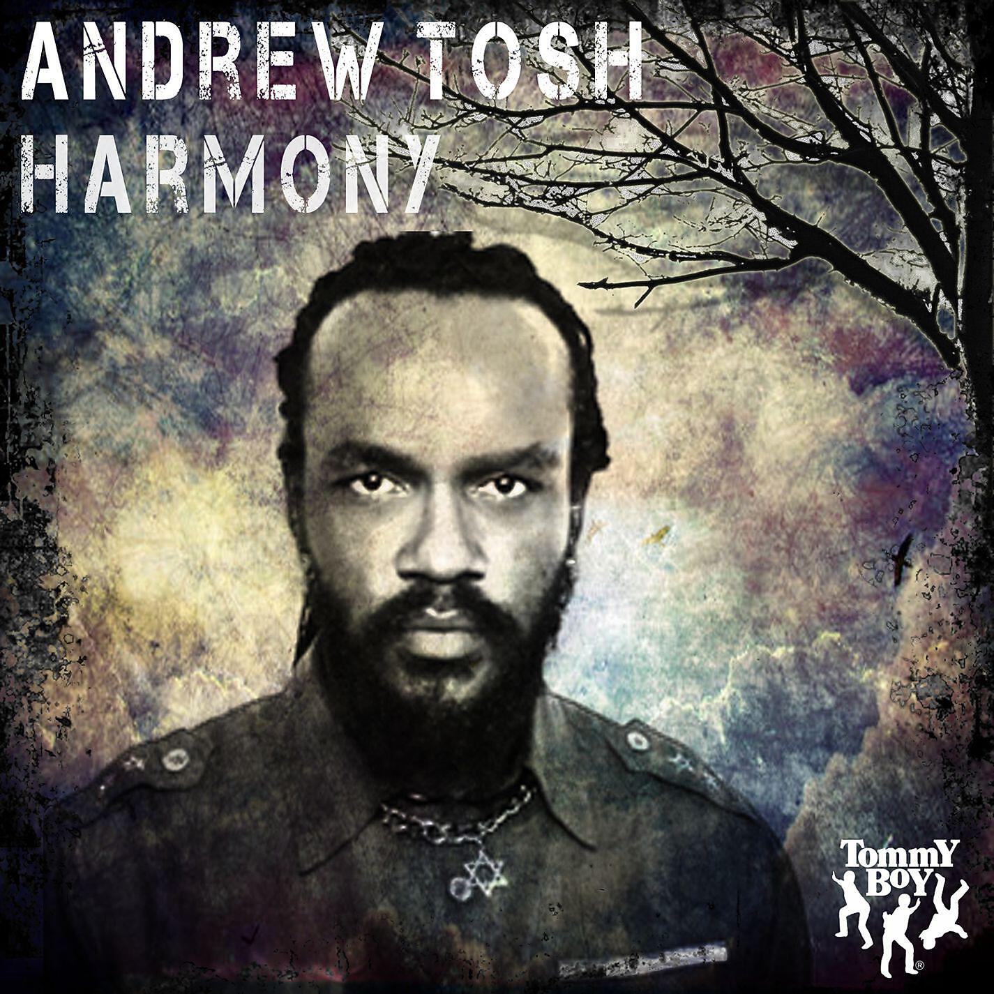 Andrew Tosh - Harmony (Instrumental)