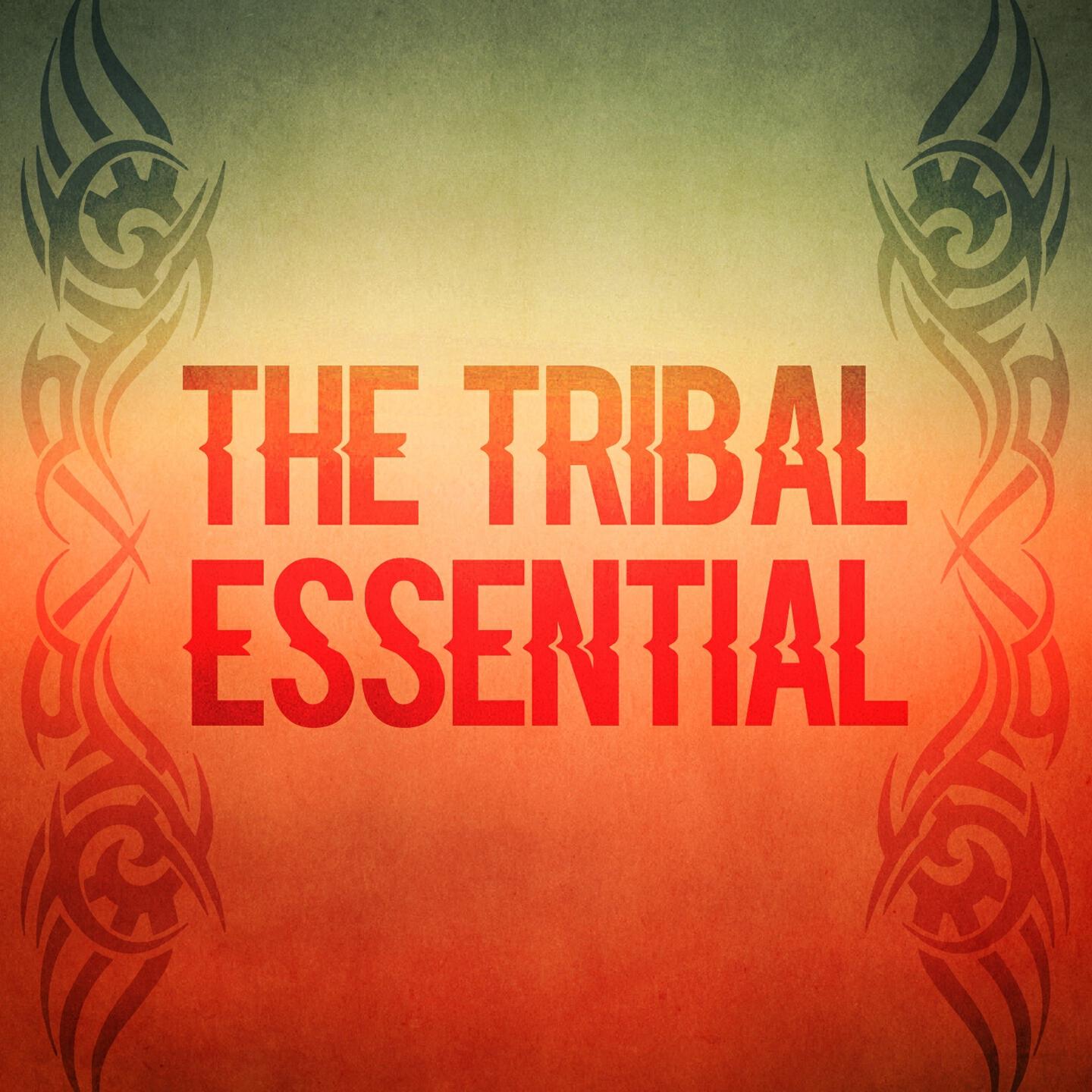 Fabiani - Banga Langa (D-Soriani Tribe Remix)