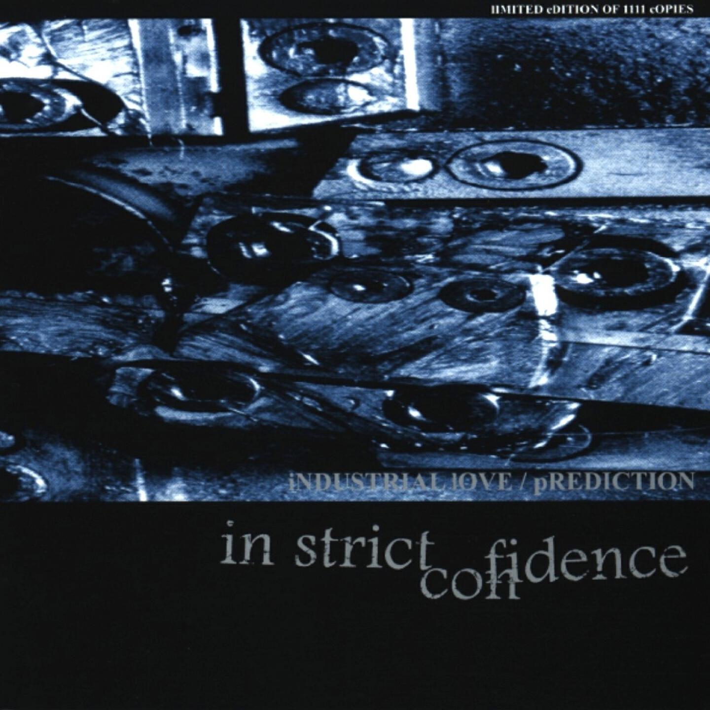In Strict Confidence - Industrial Love (Substanz T. Remix)