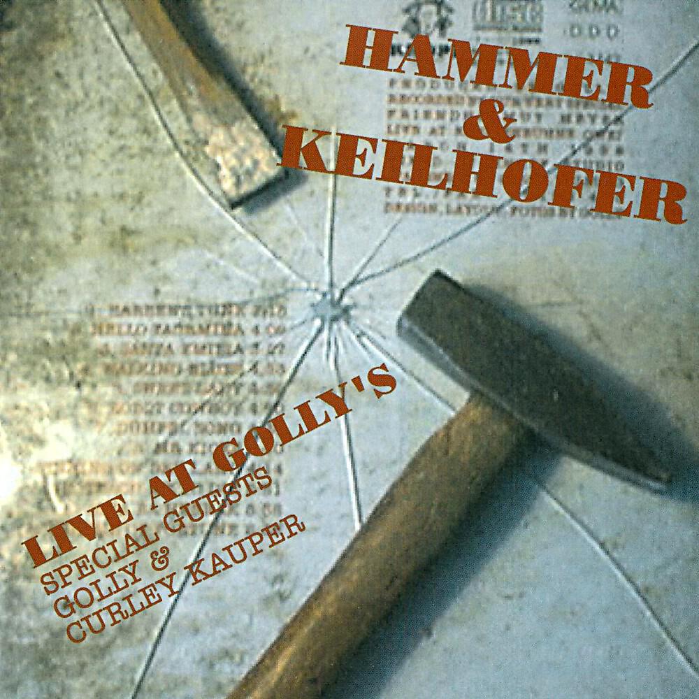 Peter Hammer & Keili Keilhofer feat. Golly Hertlein & Curley Kauper - Robot Cowboy (Live)