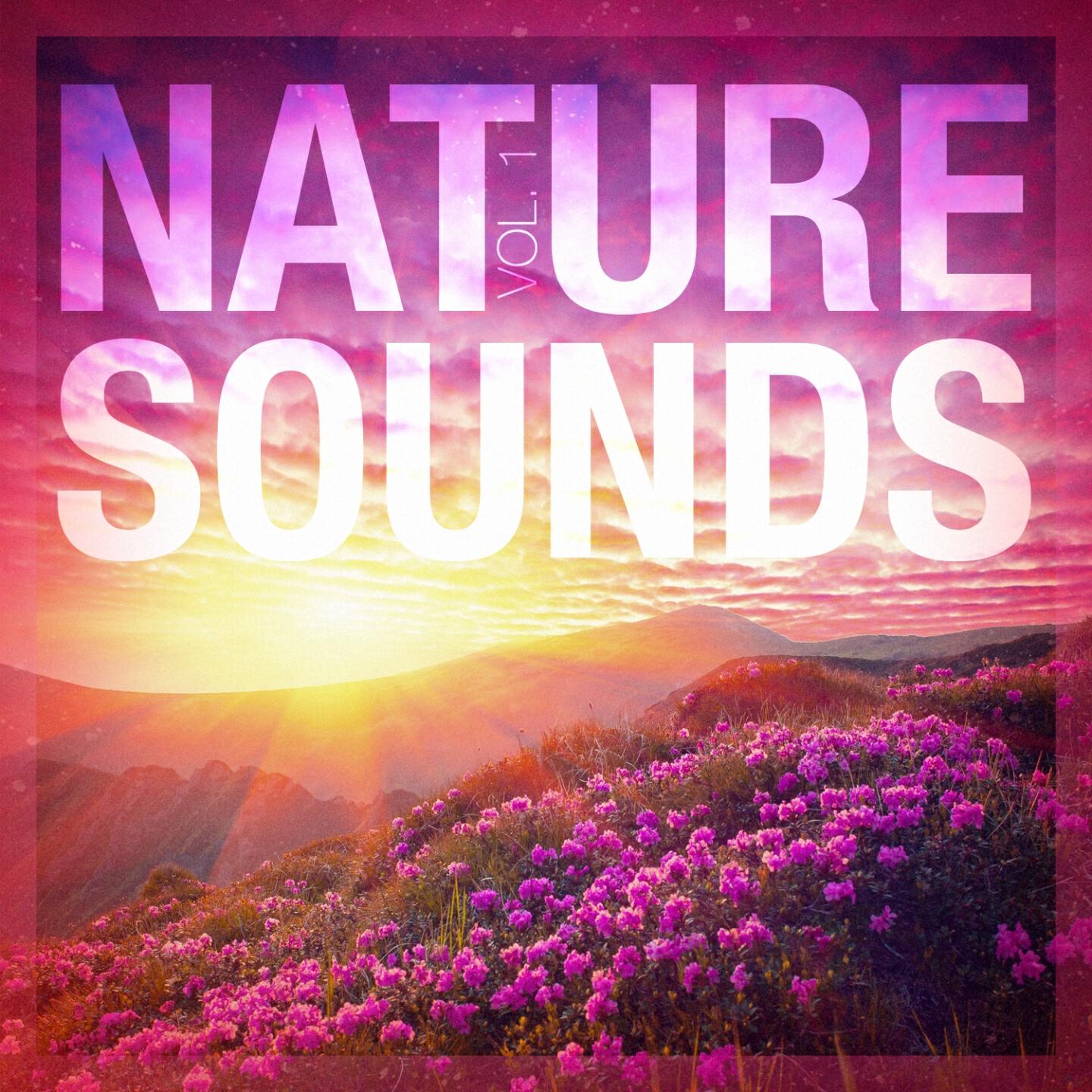 Sleep Sounds Of Nature - Sounds from the Sea 3: Breaking Waves