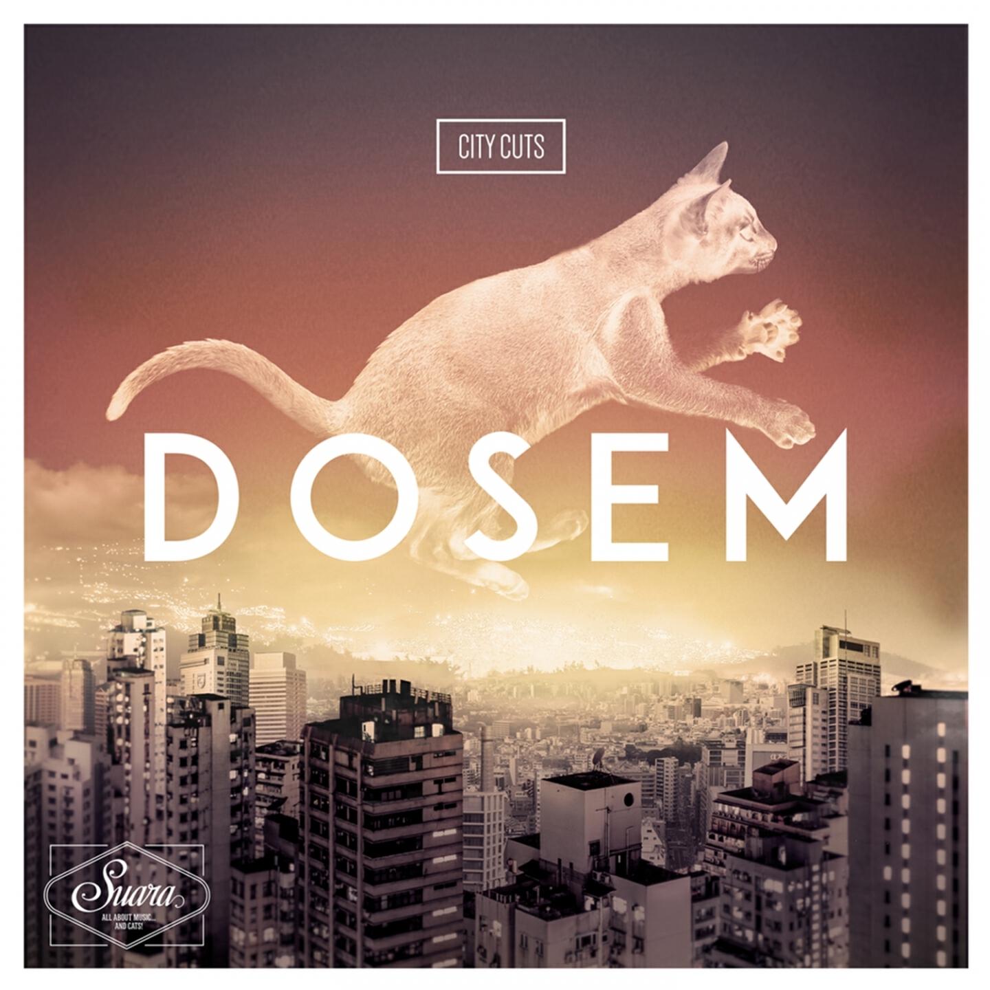 Dosem - Runnerpark
