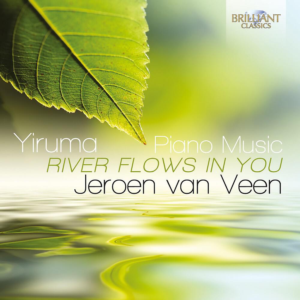 Jeroen van Veen - Indigo