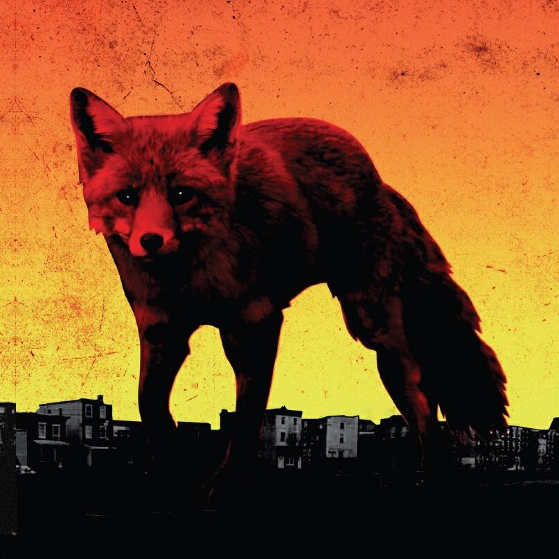 The PRODIGY - Medicine