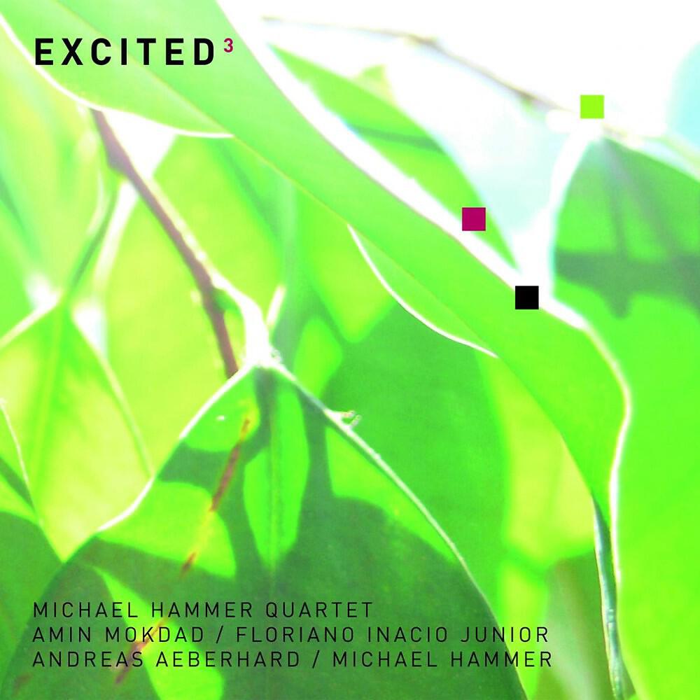Michael Hammer - Last Minute