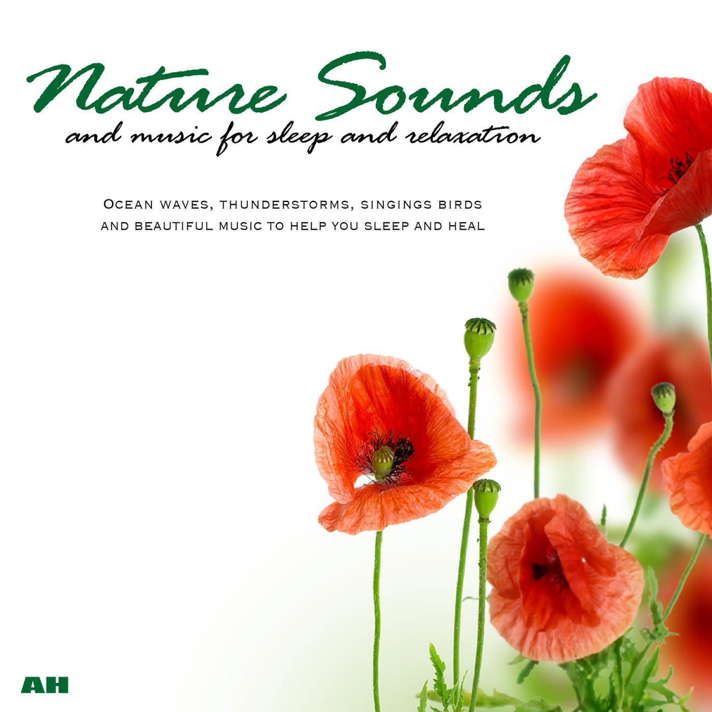 Nature Sounds and Music for Sleep and Relaxation - Nature Sounds and Music for Sleep and Relaxation