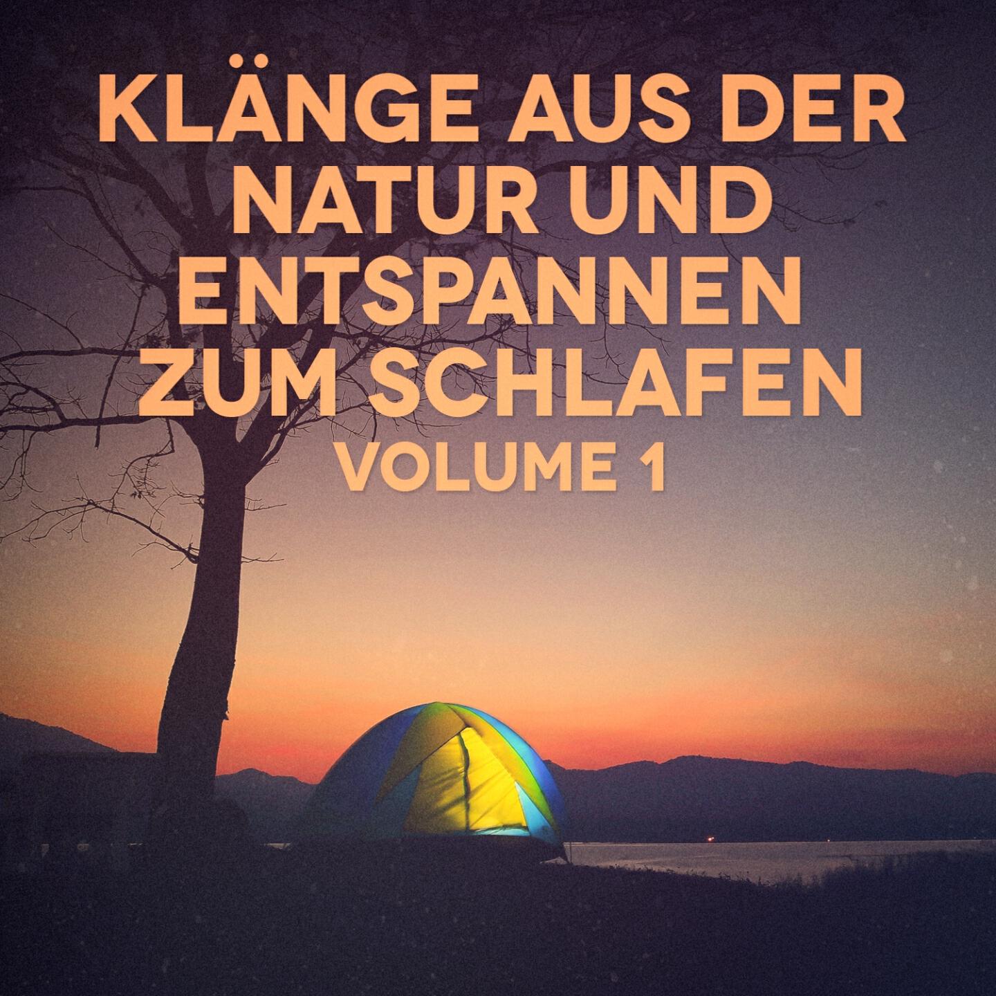 Michael Hamilton - Nächtliche Brachlandgeräusche 1: Grillen, Grashüpfer und Eulen