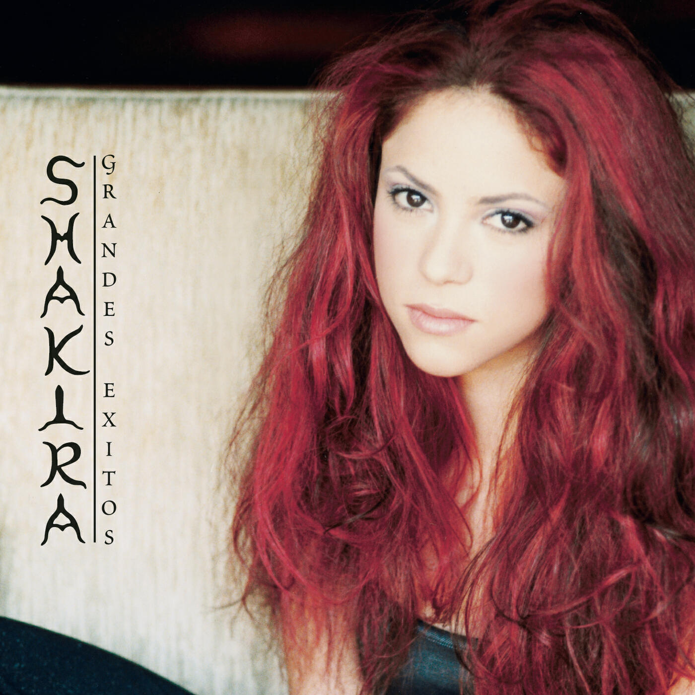 Shakira - Moscas en la Casa