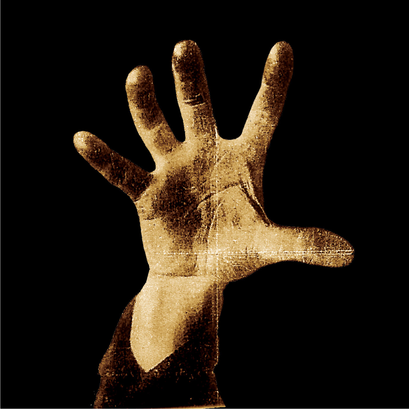 System Of A Down - Spiders