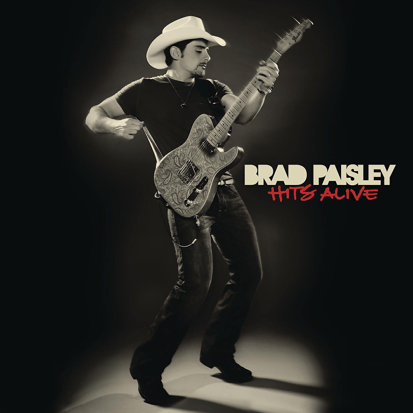 Brad Paisley - She's Everything (Live)