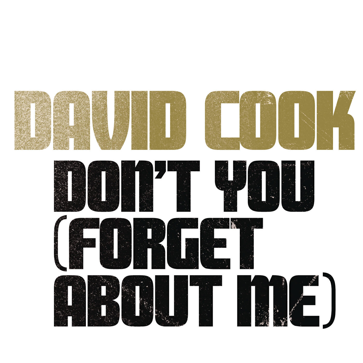 David Cook - Don't You (Forget About Me)