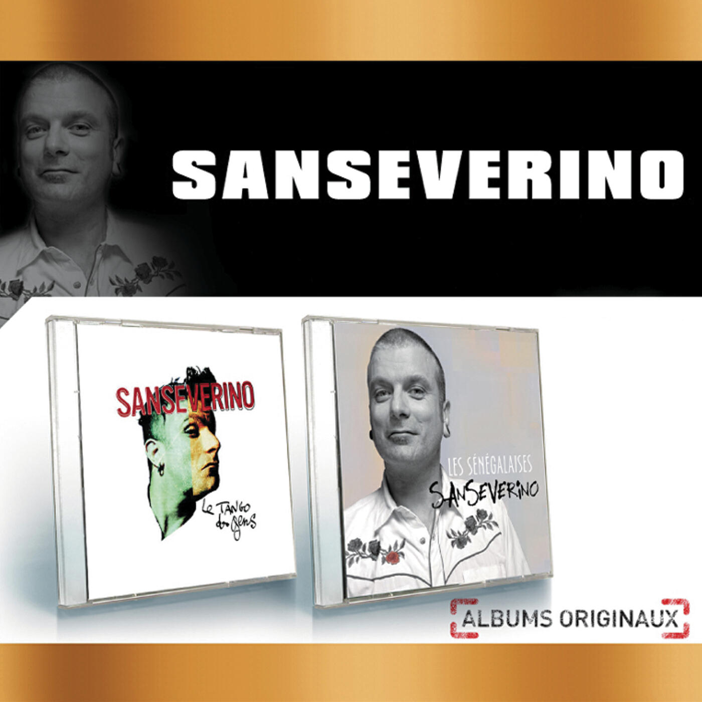 Sanseverino - Jean-Luc (Instrumental)