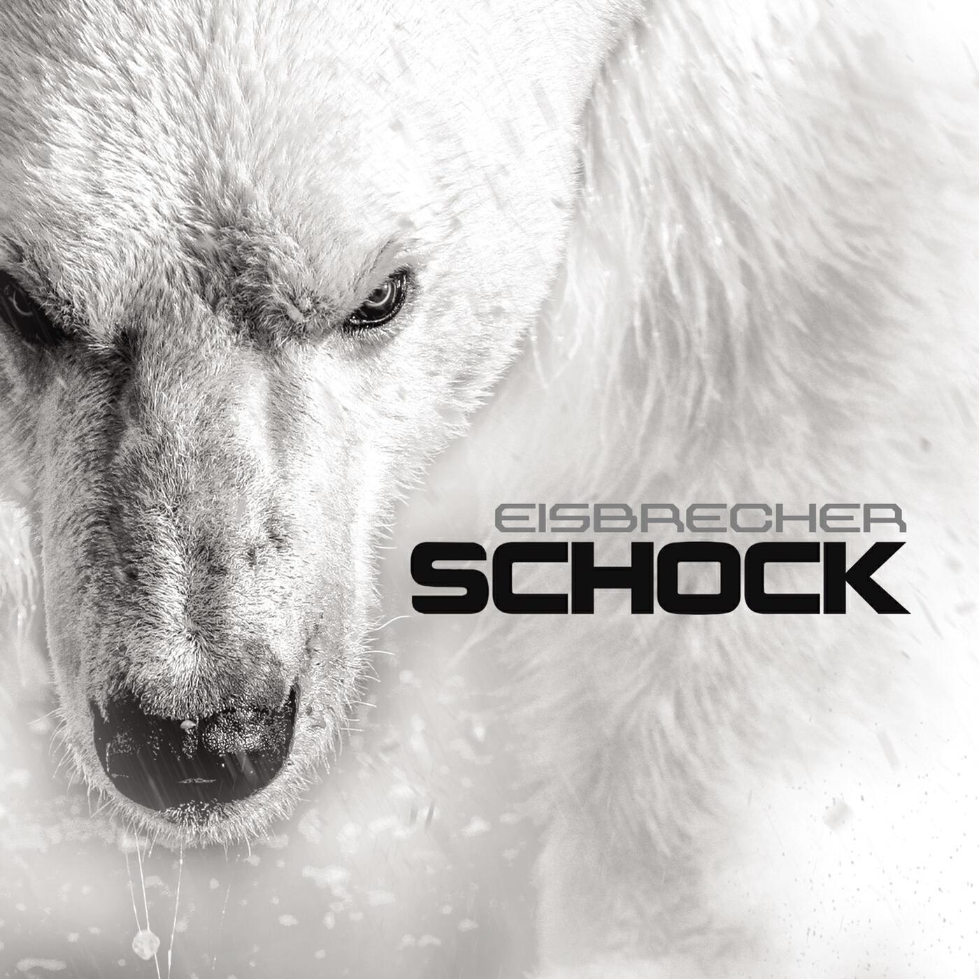 Eisbrecher - Volle Kraft voraus