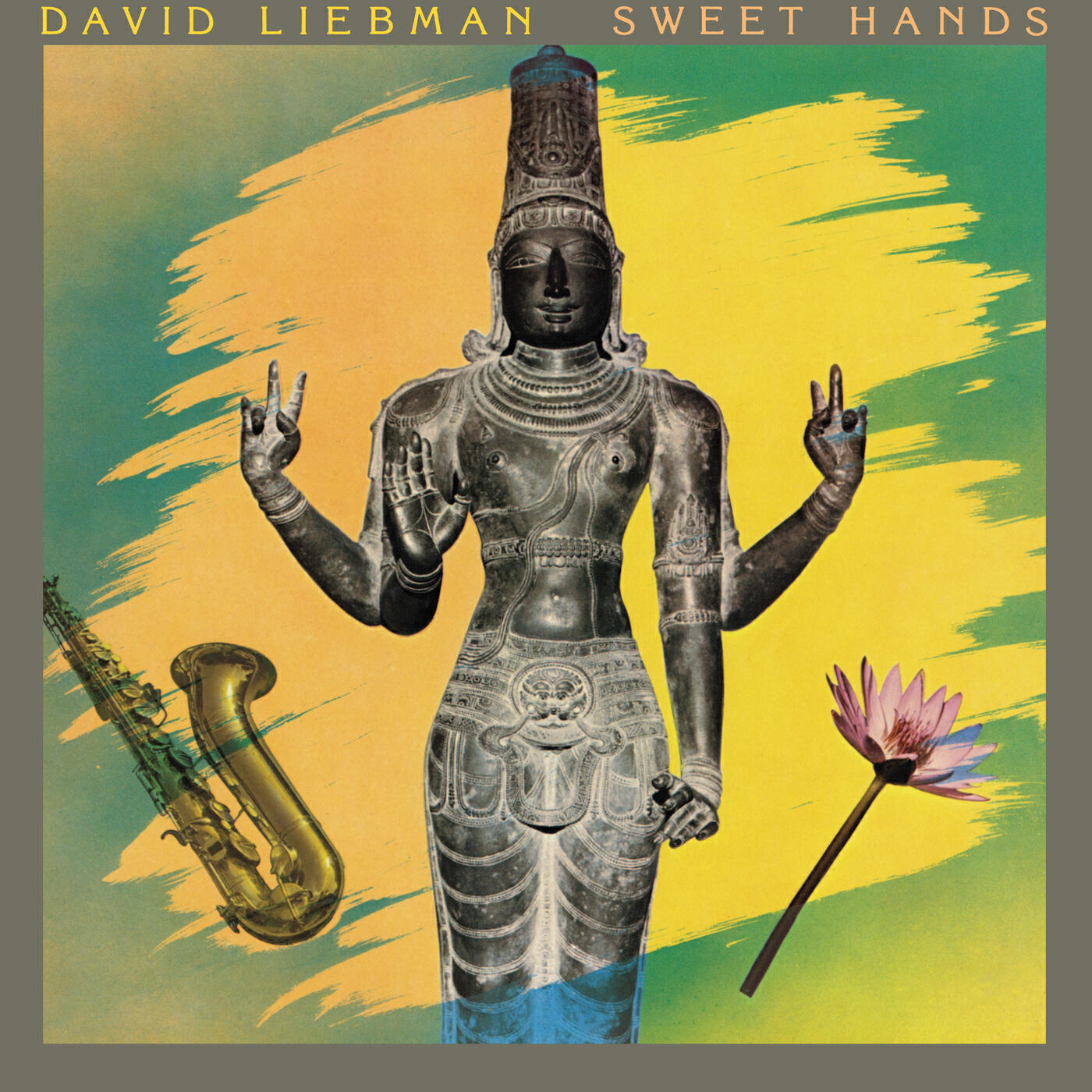 David Liebman - Within You Without You