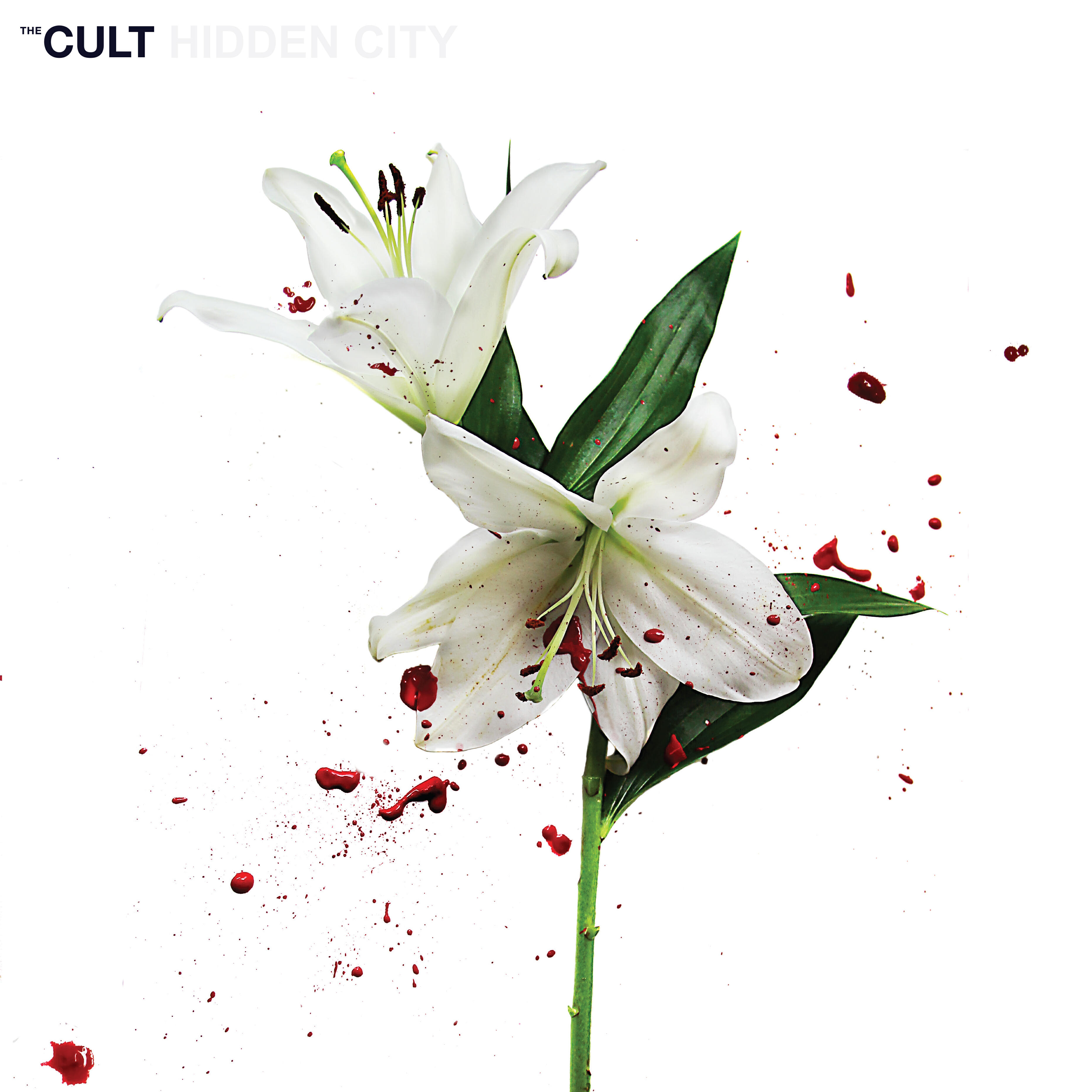 The Cult - Lilies