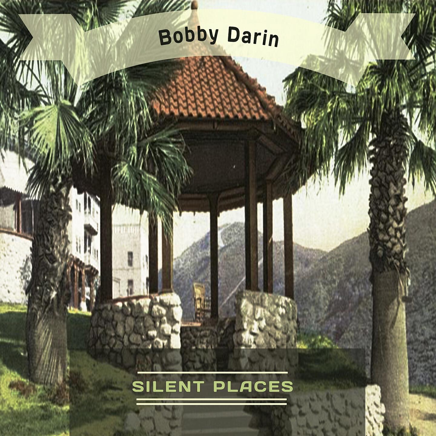 Bobby Darin - A Picture No Artist Could Paint