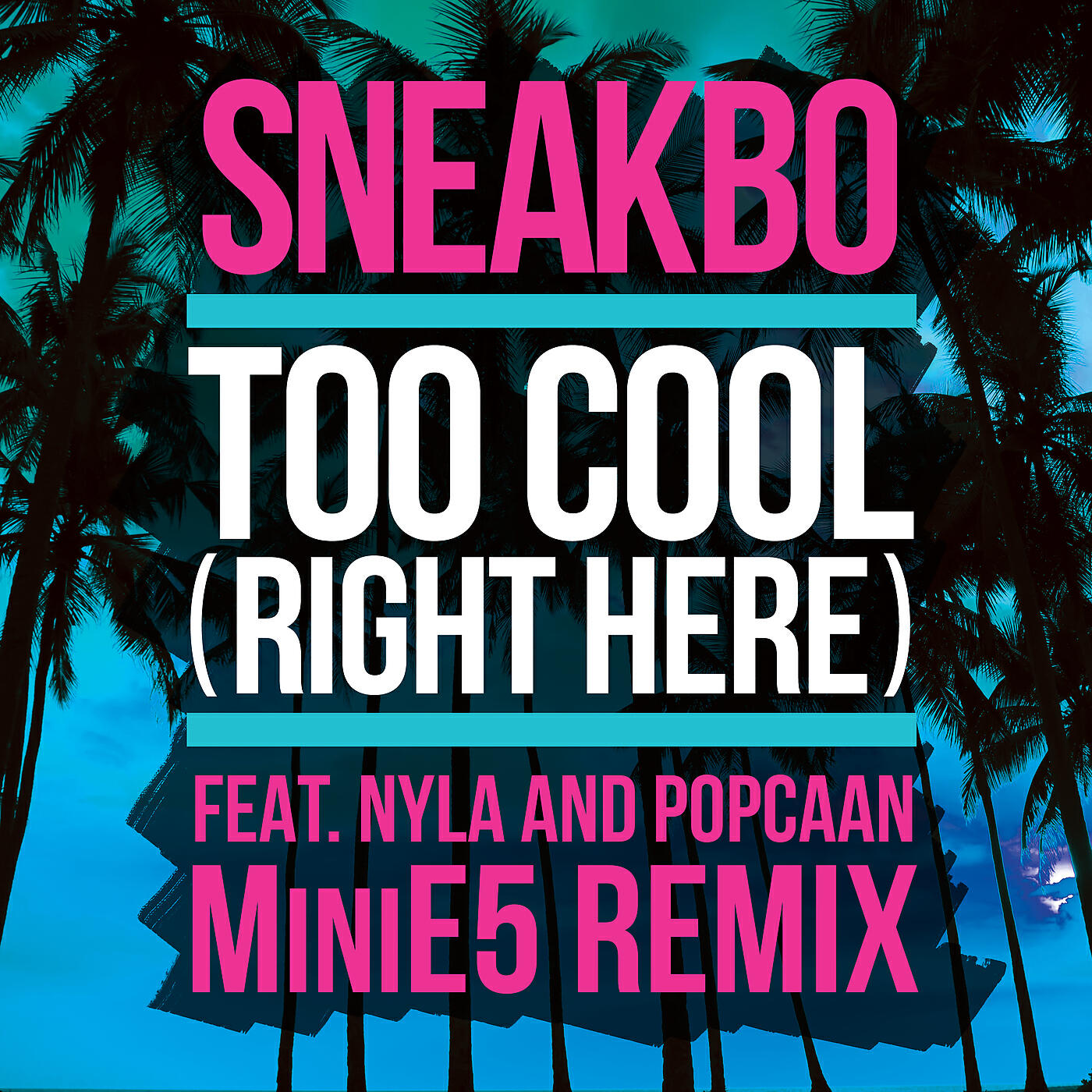 Sneakbo - Too Cool (Right Here)