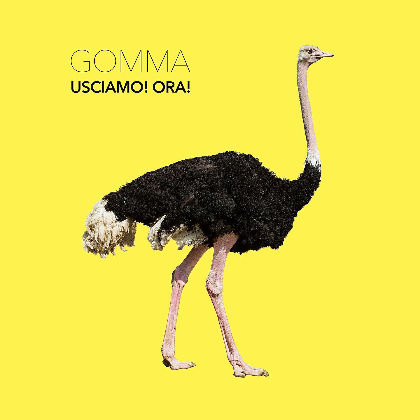 Gomma - Stasera