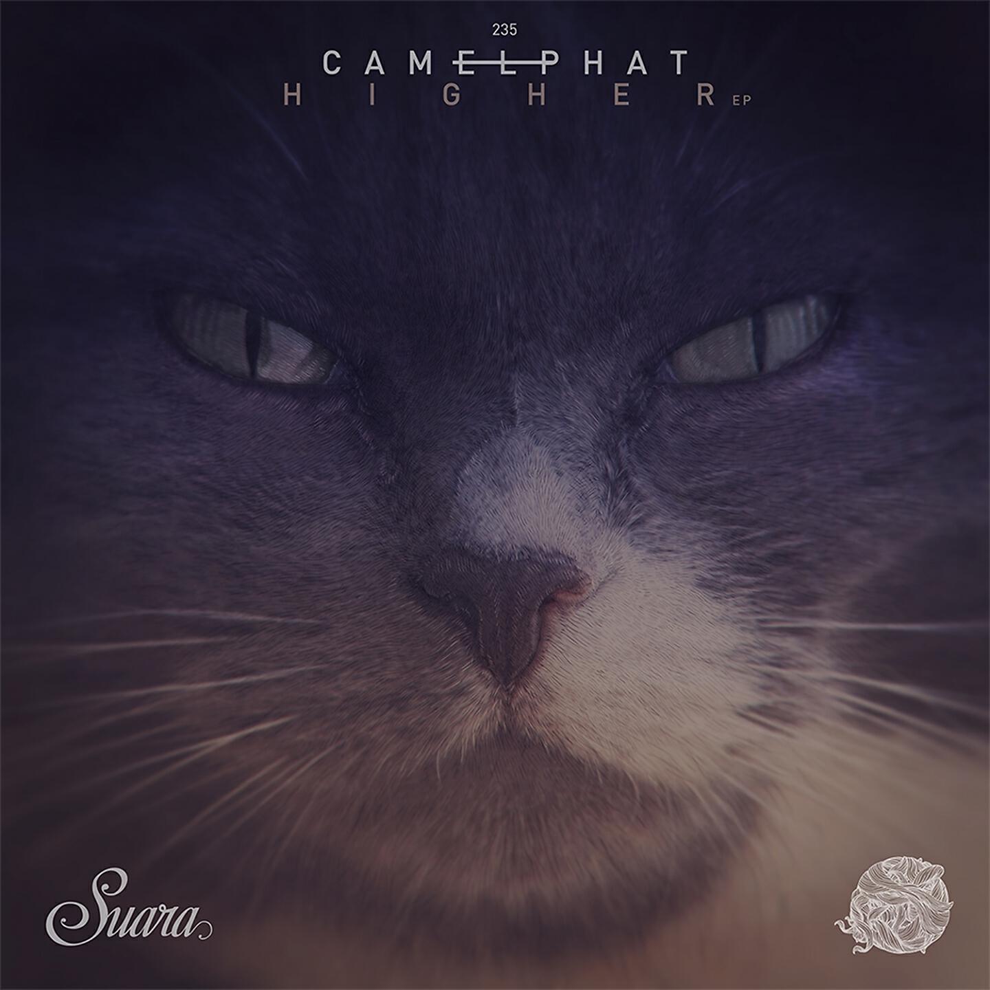 CamelPhat - Raabta