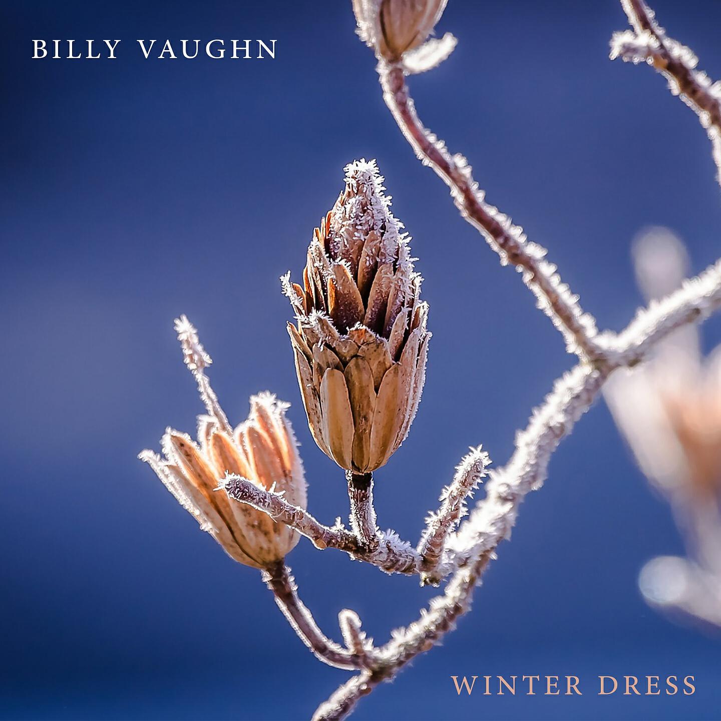 Billy Vaughn - You Call Everybody Darling