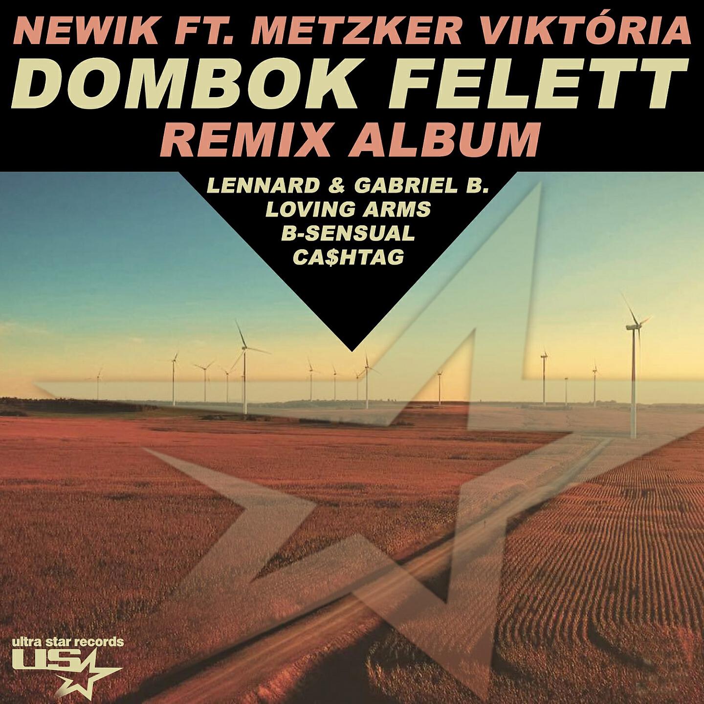 Newik - Dombok Felett (Loving Arms Remix)