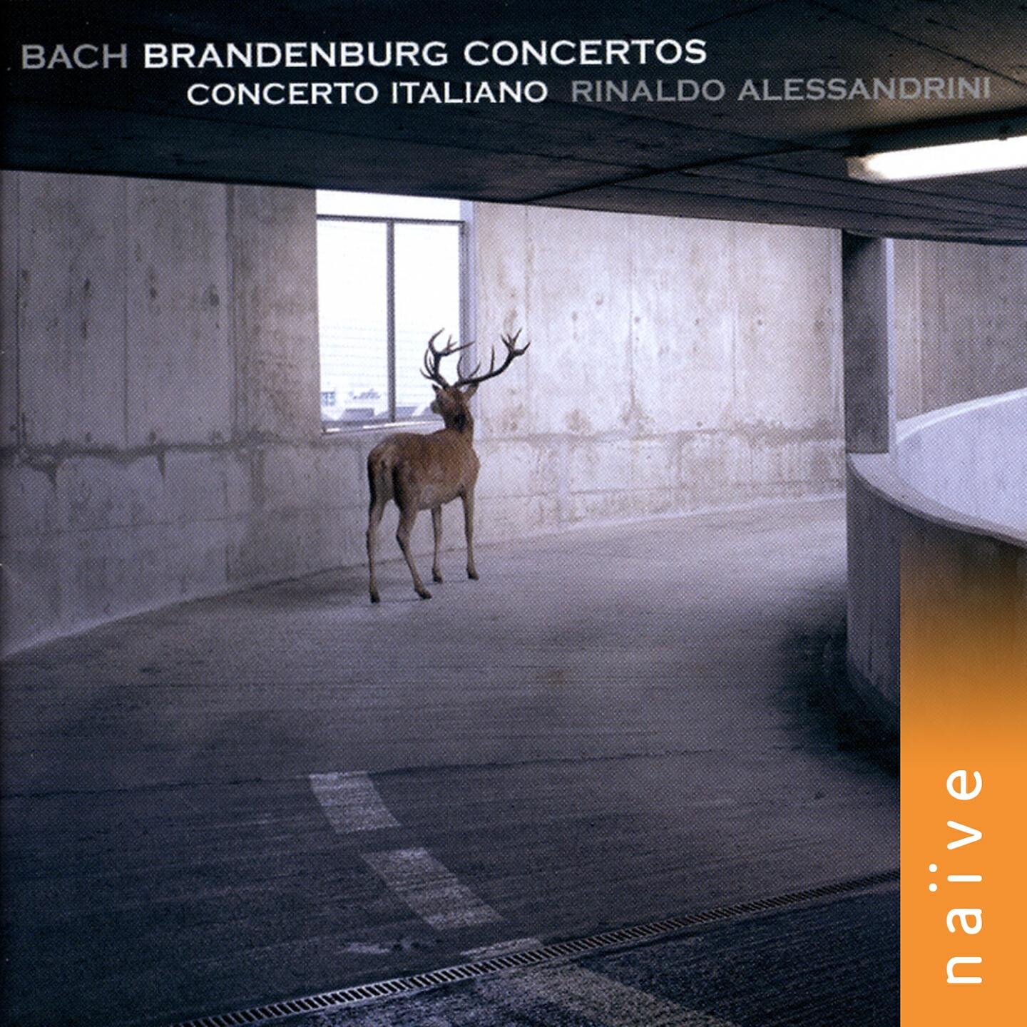 Rinaldo Alessandrini - Six Brandenburg Concertos, No. 1 in F Major, BWV 1046: VIII. Menuetto da capo