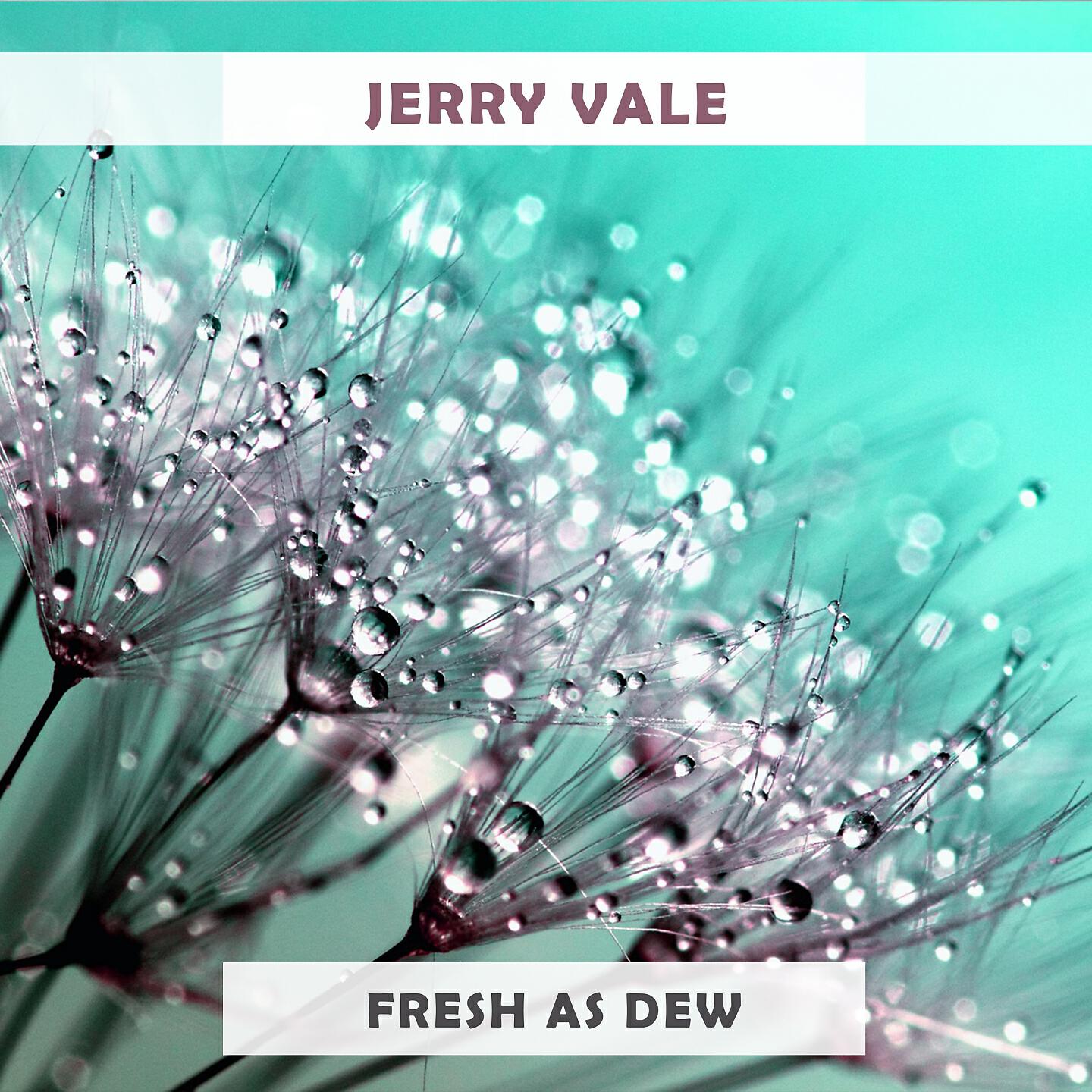 Jerry Vale - Palamero