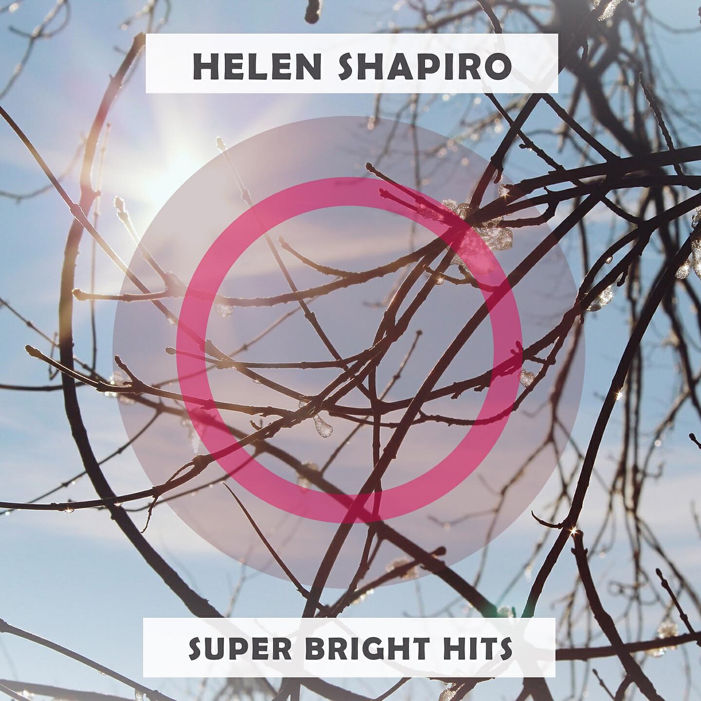 Helen Shapiro - Baby It's You