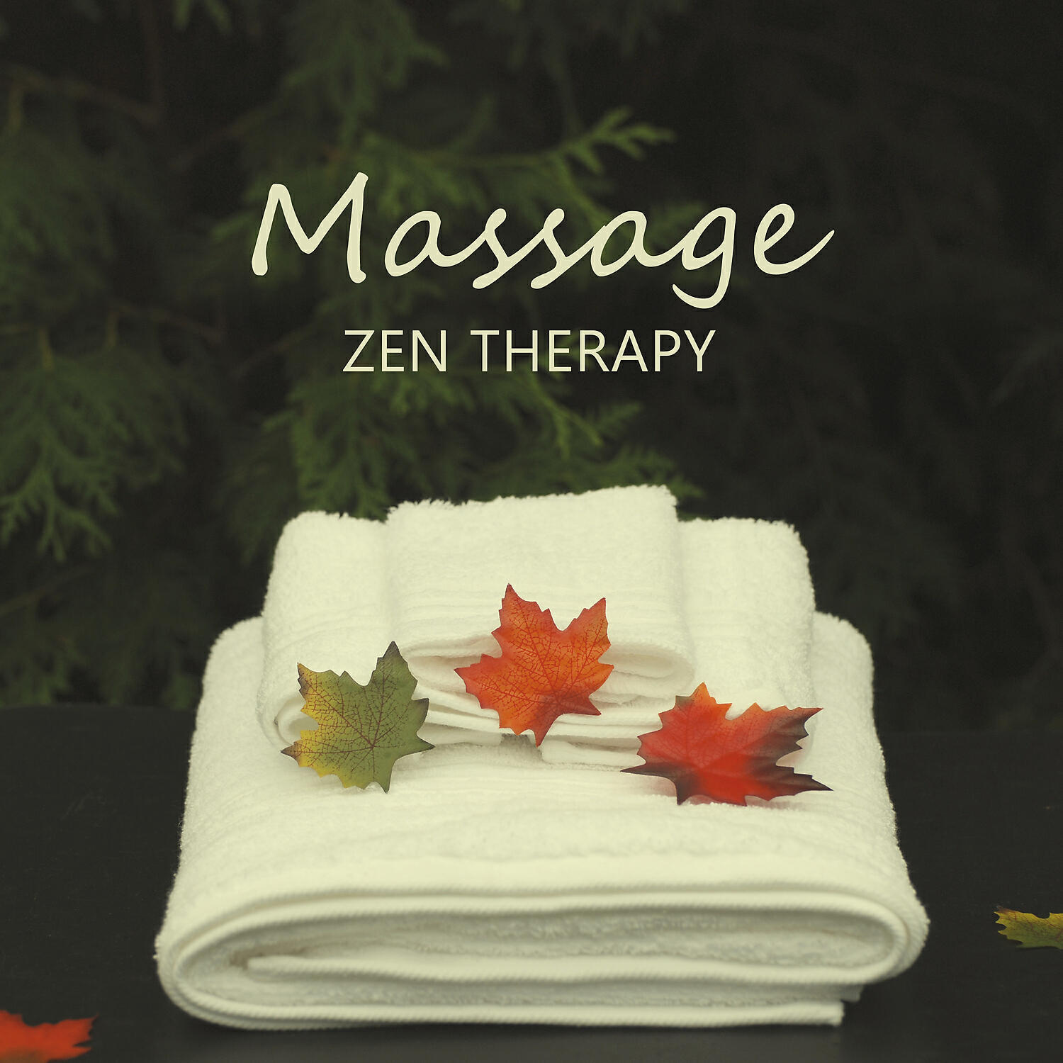 Liquid Relaxation Oasis - Transformation
