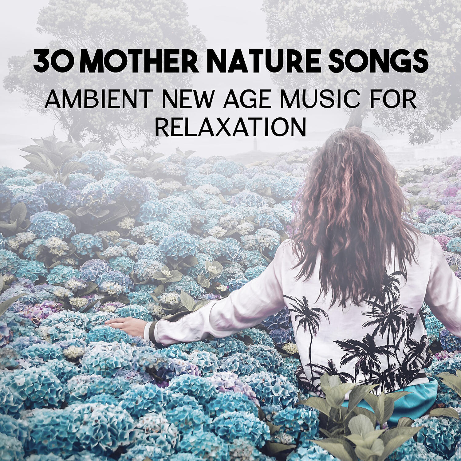Nature Music Sanctuary - Wonders of Nature (Forgotten Northern Sea)