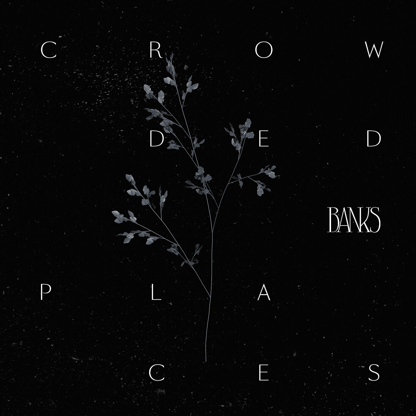 BANKS - Crowded Places