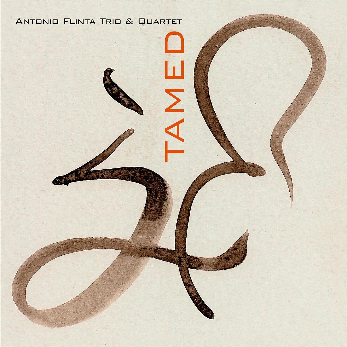 Antonio Flinta Trio - Invisible People (Original Version)